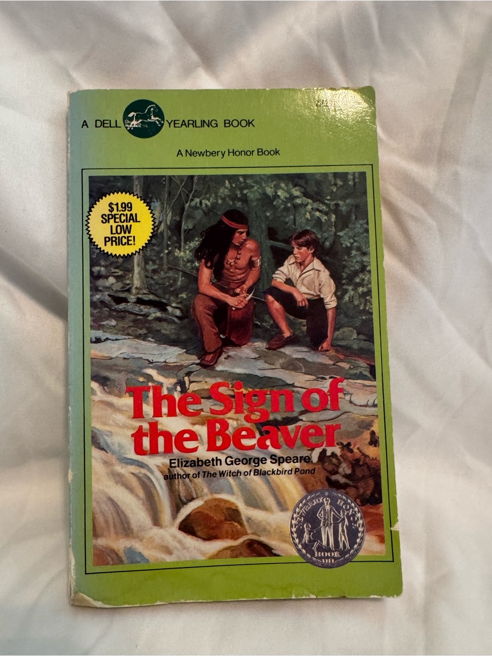 The Sign of the Beaver Paperback Book - Green Cover